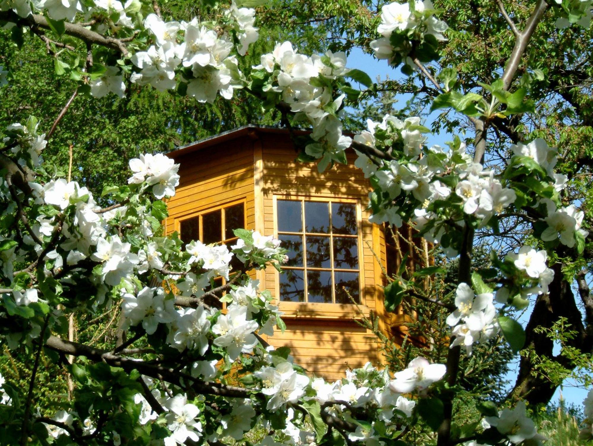 Harzer Feriengarten كيدلينبورغ المظهر الخارجي الصورة